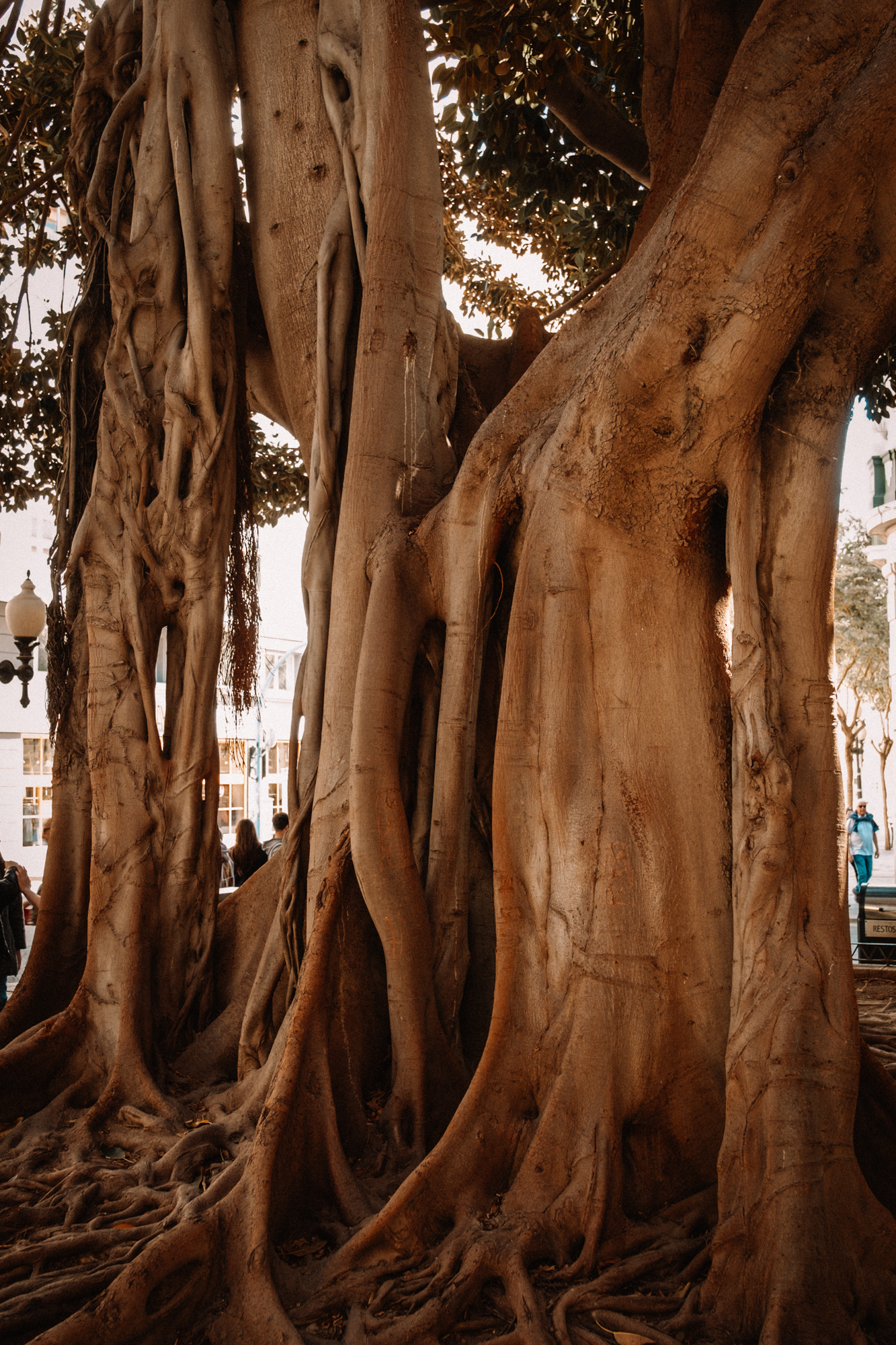 placeholder image sq