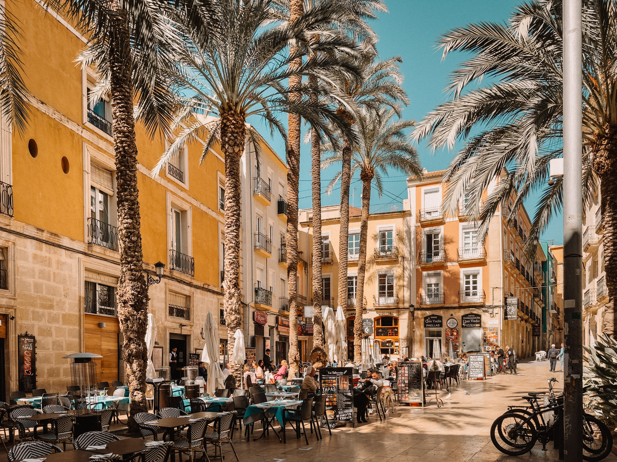 placeholder image sq