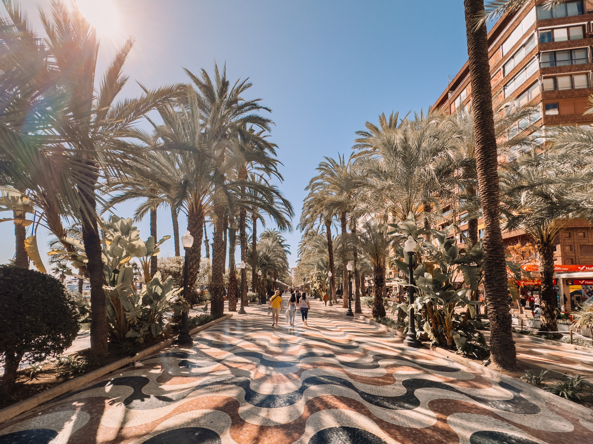 placeholder image sq