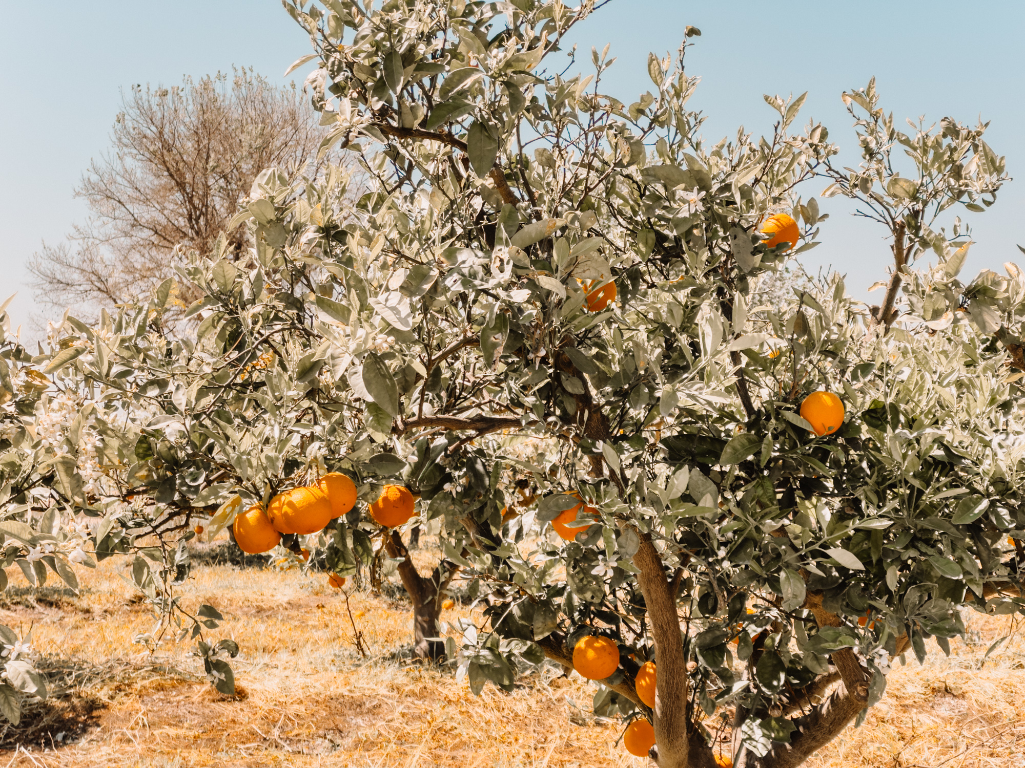 placeholder image sq