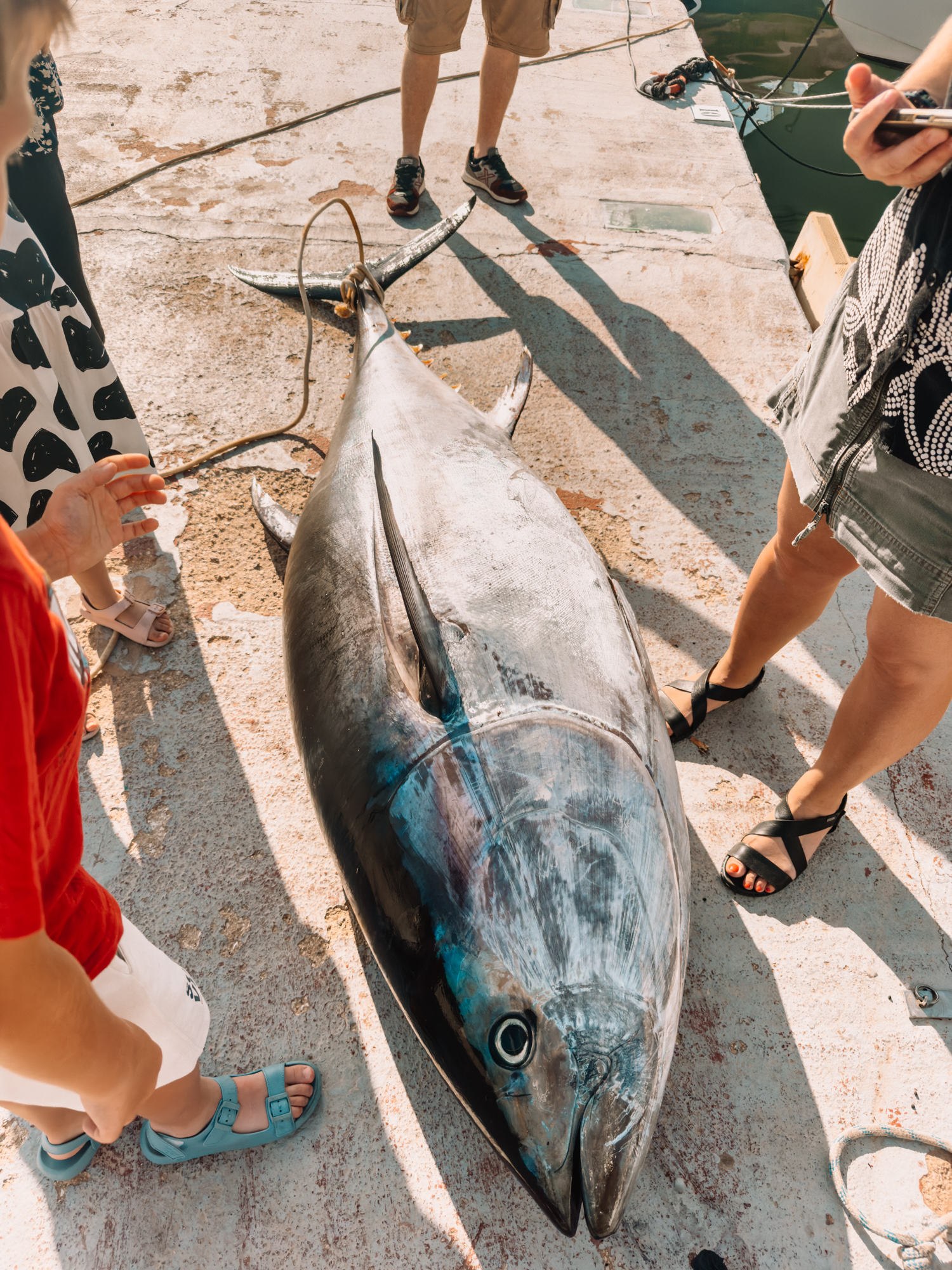 placeholder image sq